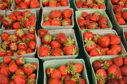 iStock_000003650280XSmall