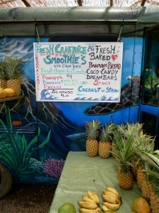 Fresh fruit smoothies are the specialty at Twin Falls