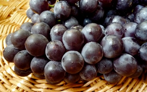 Ontario Grapes
